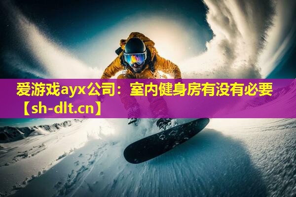 爱游戏ayx公司：室内健身房有没有必要