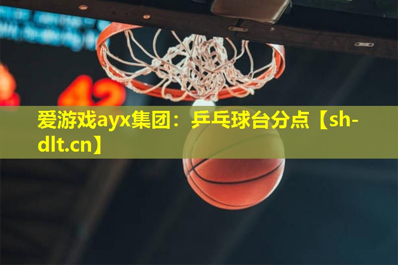 爱游戏ayx集团：乒乓球台分点