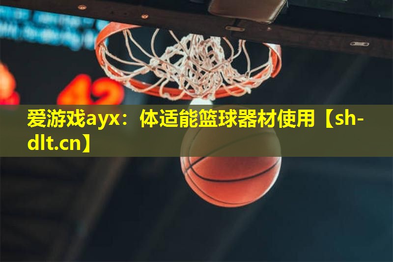 爱游戏ayx：体适能篮球器材使用