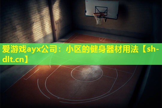 爱游戏ayx公司：小区的健身器材用法