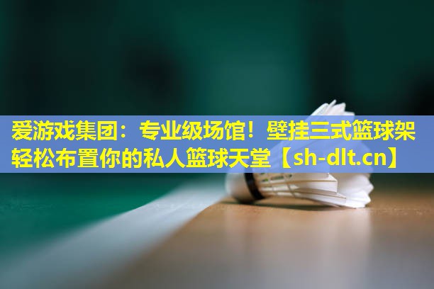 爱游戏集团：专业级场馆！壁挂三式篮球架轻松布置你的私人篮球天堂