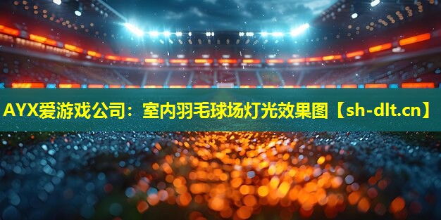 AYX爱游戏公司：室内羽毛球场灯光效果图