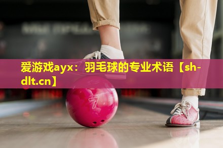 爱游戏ayx：羽毛球的专业术语