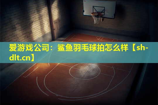 爱游戏公司：鲨鱼羽毛球拍怎么样