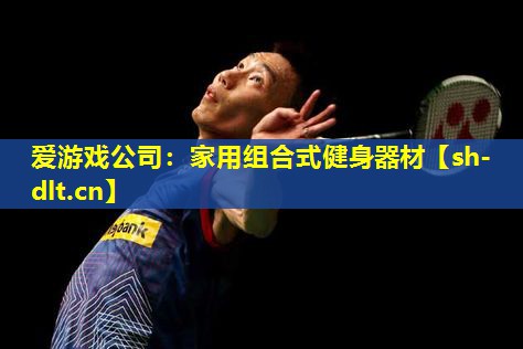 爱游戏公司：家用组合式健身器材