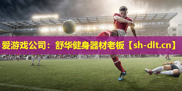 爱游戏公司：舒华健身器材老板