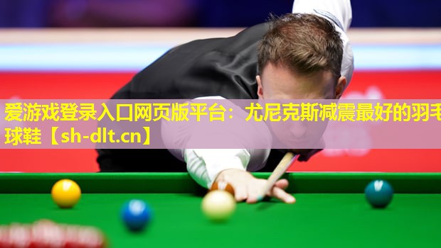 爱游戏登录入口网页版平台：尤尼克斯减震最好的羽毛球鞋