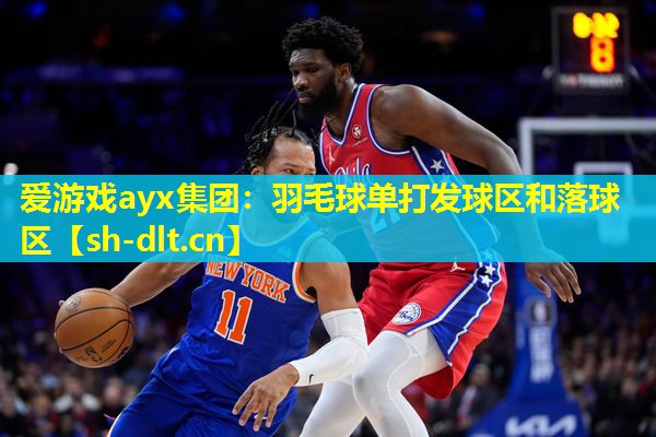 爱游戏ayx集团：羽毛球单打发球区和落球区