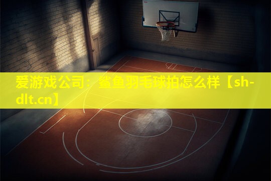 鲨鱼羽毛球拍怎么样