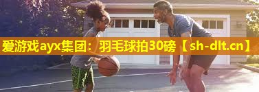 羽毛球拍30磅