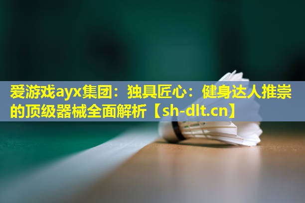 独具匠心：健身达人推崇的顶级器械全面解析