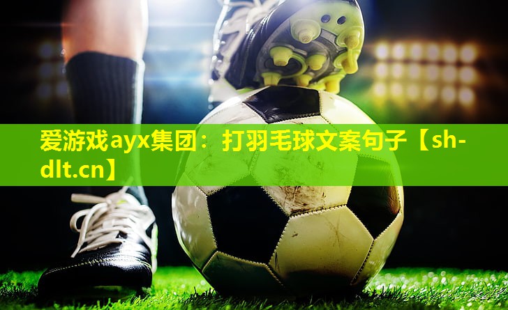 打羽毛球文案句子 打羽毛球文案句子