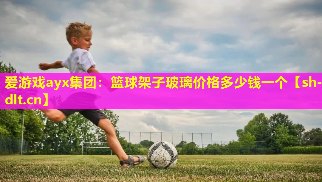 篮球架子玻璃价格多少钱一个 篮球架子玻璃价格多少钱一个