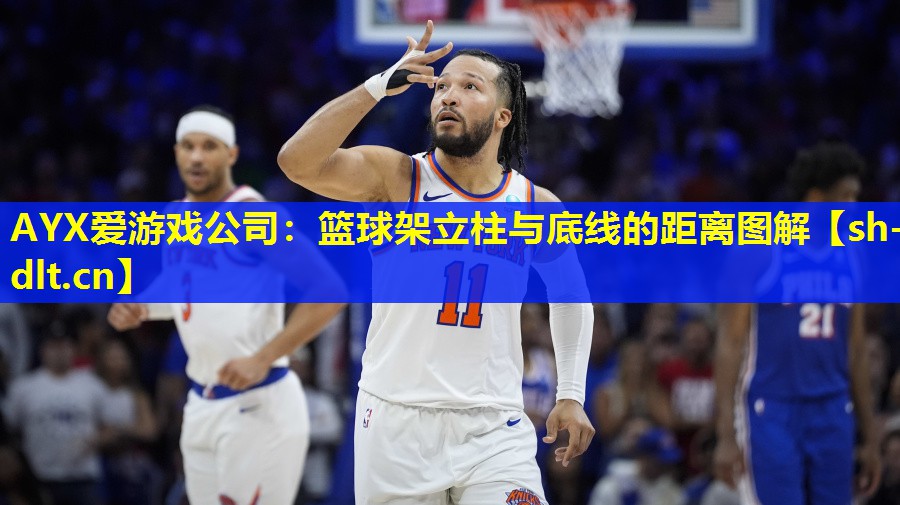 篮球架立柱与底线的距离图解 篮球架立柱与底线的距离图解