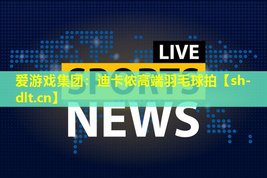 迪卡侬高端羽毛球拍 迪卡侬高端羽毛球拍
